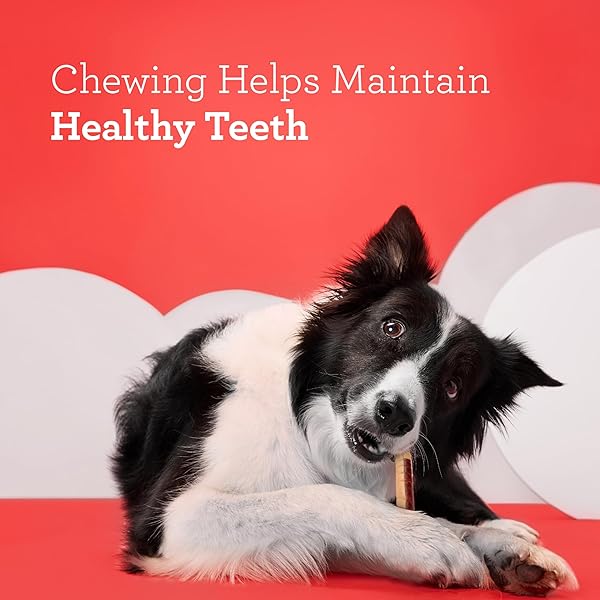 DREAMBONE DREAMSTICKS, TREAT YOUR DOG TO A CHEW MADE WITH REAL CHICKEN AND VEGATABLES, 5 COUNT