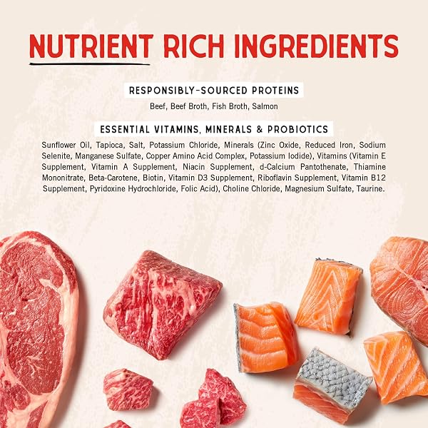 STELLA & CHEWY’S GRASS FED BEEF & WILD CAUGHT SALMON SHREDRS – PREMIUM DOG FOOD POUCHES – PERFECT FOR PICKY EATERS- 12 PACK, 2.8OZ EACH