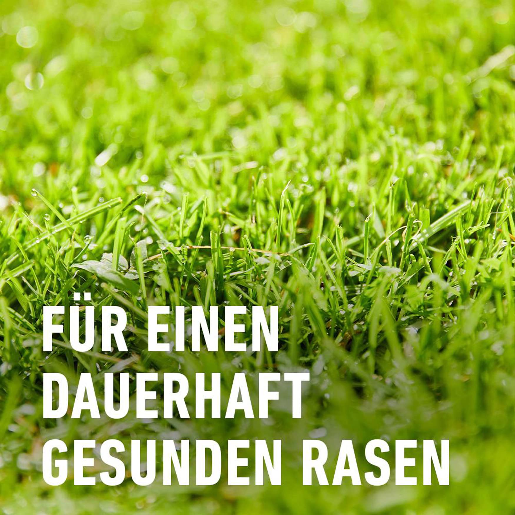 COMPO Rasendünger gegen Unkraut + Moos Komplett-Pflege Rasendünger mit Unkrautvernichter, Moosvernichter, 3 Monate Langzeitwirkung 9 kg, für 300m² 5