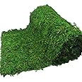 FAICOIA Moss Table Runner Green Moss Roll for Fairy Gardens Wedding Woodland Table Decor Dried Moss for Crafts 16" x 118" Preserved Moss Mat Moss Carpet for Green Moss Grass Wall 40 x 300cm