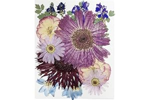 HOPELJ 15Pcs Dried Pressed Flowers for Resin, Large Pressed Dried Flowers Leaves Bulk Natural Herbs Kit for Scrapbooking DIY Art Crafts, Epoxy Resin Jewelry Molds, Candle, Soap Making, Nails DéCor