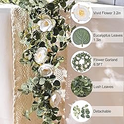 Dolicer 2 Packs 6.56Ft Eucalyptus Garland with