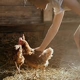 Copdock Mill Range Layers Mash 5kg Chicken Feed High Protein 17% view 9