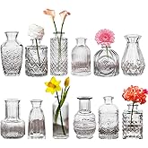 Glass Bud Vases Set of 12, Small Clear Vases for Centerpieces, Mini Glass Vases in Bulk, Vintage Vases Assorted Tiny Flower Vase for Baby Shower Wedding Floral Arrangements Home Table Decorations