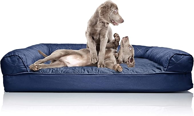 raised dog beds for greyhounds