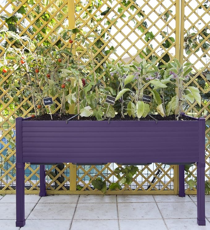 Desconocido Mesa de Cultivo plástico Berenjena: Amazon.es: Jardín