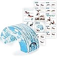 OPTP PRO-Roller Arch - Foam Roller Support and Positioning Tool – Use with 6-Inch Diameter Large Foam Rollers, A Short or Half Round Foam Roller
