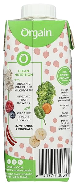 ORGAIN ORGANIC HEALTHY KIDS STRAWBERRY NUTRITIONAL SHAKE, 8.25 FLUID OUNCE – 12 PER CASE.