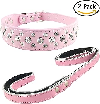 cute female dog harness