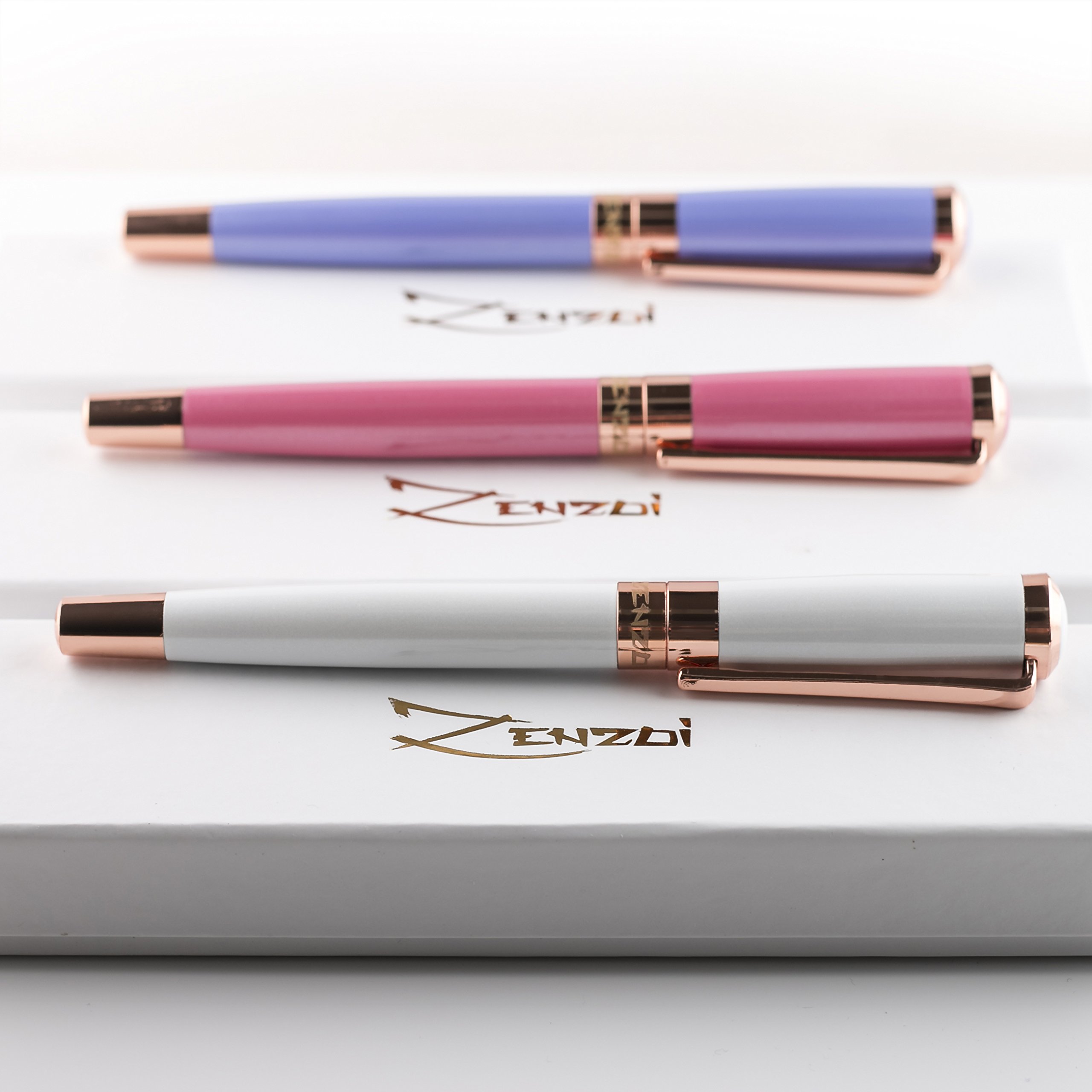 ZenZoi Fountain Pen Premium Executive Calligraphy Stylograph Pens