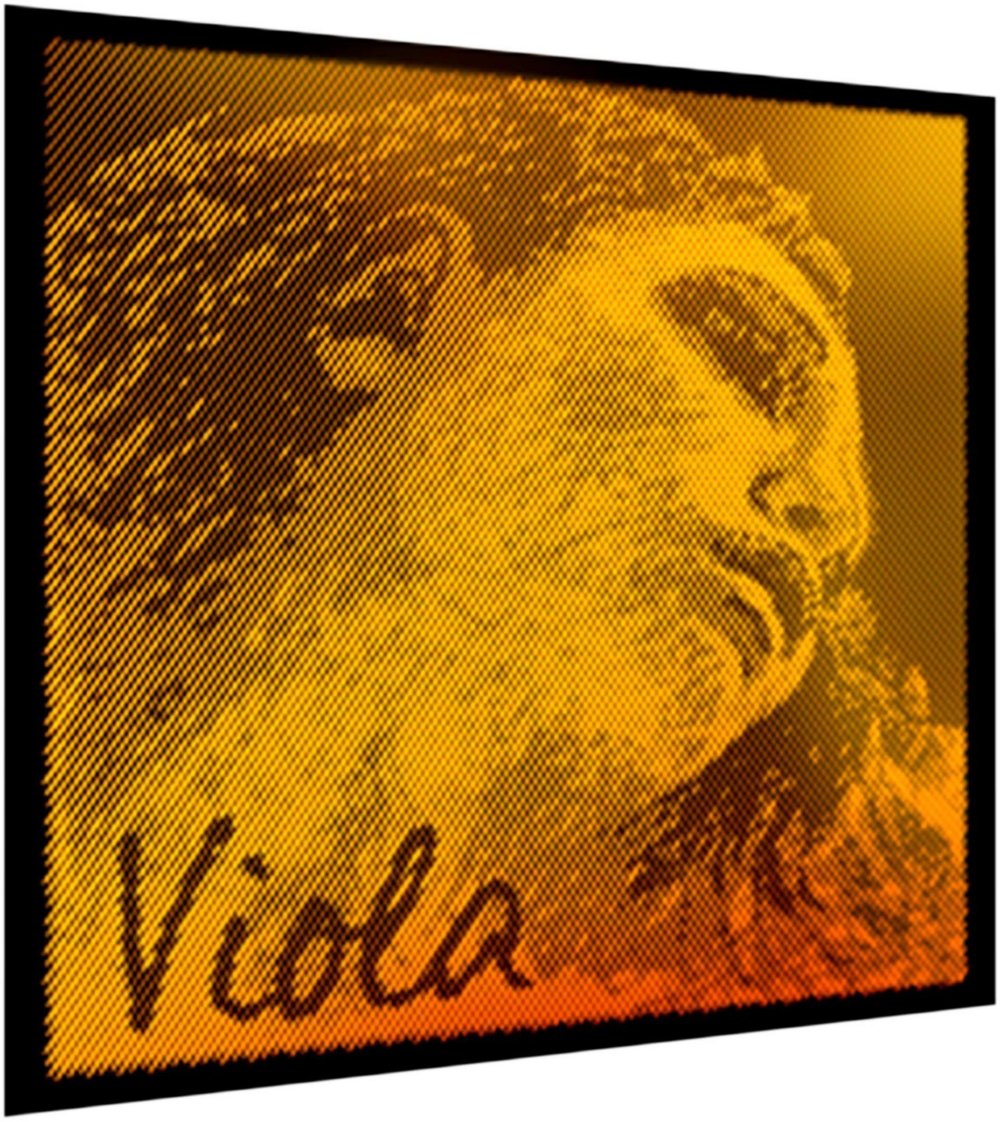 Pirastro Evah Pirazzi 4/4 Viola Gold String Set, Medium Gauge Premium Strings Made With Fine Flexible Synthetic Core, Ball End Strings, Replacement Accessory for Professional and Student Viola Players