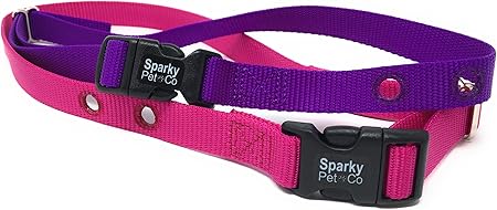 Amazon Com Petsafe Compatible 3 4 Nylon Replacement Collar 2 Holes 1 25 Apart 2 Pack Purple And Raspberry Pet Supplies