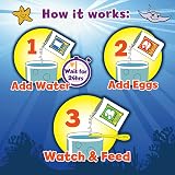 Sea Monkeys Glow Magiquarium Educational Kit 90s Bandai Original Sea Monkeys view 3
