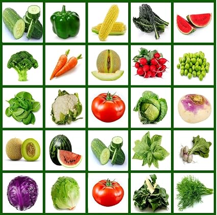 Amazon Com Full Size Seed Packs Hugh Variety Of Vegetable Seeds Non Gmo Non Hybrid All In One Vegetables Fruits Herbs Perfect Gift For Your Favorite Gardener Garden Seeds Garden