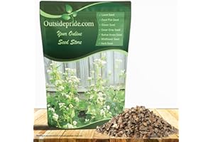 Outsidepride Buckwheat Seeds - 5lbs Annual, Fast-Growing, Easy to Grow Buckwheat Cover Crop Seeds for Green Manure, Bee Pasture & Pollinators, Wildlife Habitat, Soil Improvement, and Erosion Control