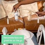 Ingenuity Swing n Go Portable Swing Chambray 5 Speeds TrueSpeed 0-9 Months view 4