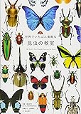 世界でいちばん素敵な昆虫の教室 (世界でいちばん素敵な教室)