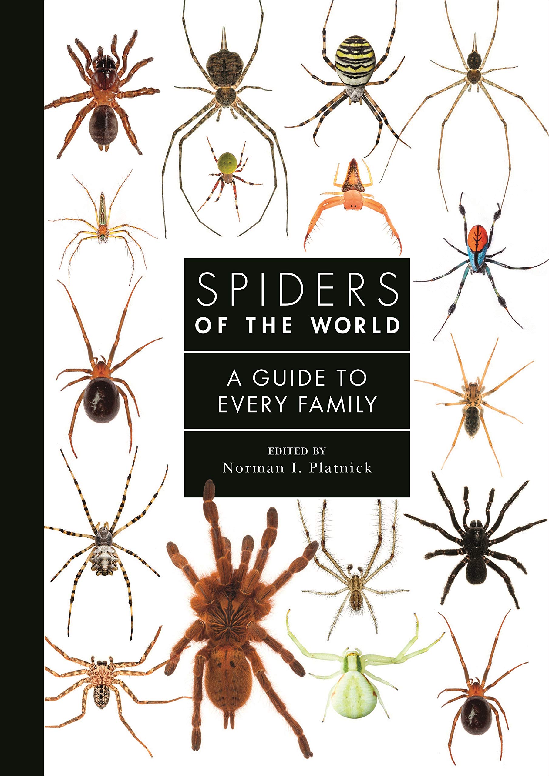 Spiders Of The World A Natural History Platnick Norman I Jocque Rudy Hormiga Gustavo Raven Robert Ramirez Martin J Jager Peter 9780691188850 Amazon Com Books