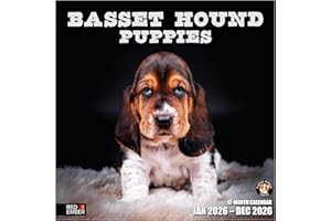 RED EMBER Basset Hound Puppies 2026 Wall Calendar 12 Month | 12" x 24" Open | Thick & Sturdy Paper | Holiday Gift | Cute Puppy Dog Calendar 2026