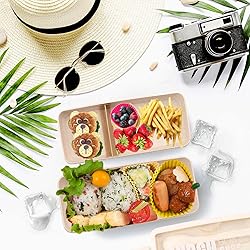 Meltset M 35Pcs Bento Box Japanese Lunch Box Kit