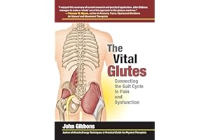 The Vital Glutes: Connecting the Gait Cycle to Pain and Dysfunction
