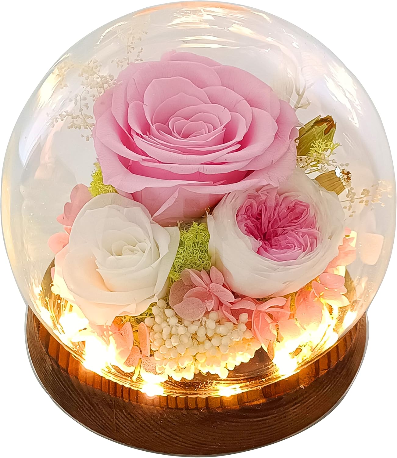 Dried & Preserved Flora - Valley of Rain & Forest Long-Lasting Real Flowers, Floral Gift for You to Send Love for All Occasions, for Indoor Decoration (Pink Rose, White Rose, White Pink Austin Rose)