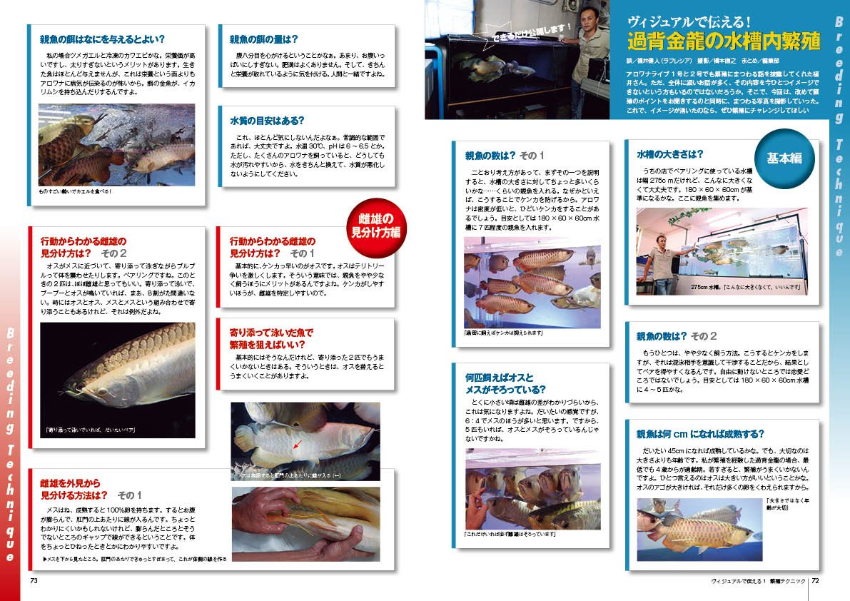 Arowana Live アロワナ ライブ Vol 003 15年 09月号 本 通販 Amazon