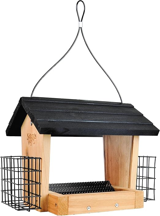Amazon Com Nature S Way Cwf28 Cedar 3 Quart Hopper Bird Feeder