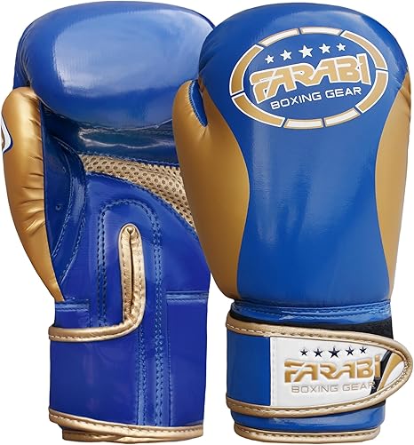 blue and gold boxing gloves