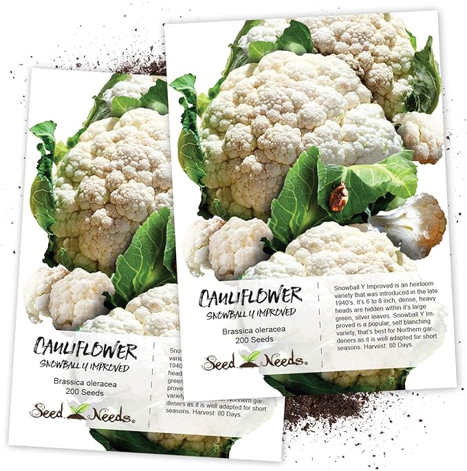 brassière invisible