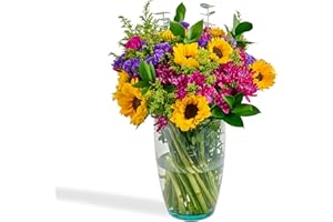 Bloom & Go Flowers Fresh Bouquet - Celebration, Fresh Cut Farm Direct Flowers - 22 Stems in Plastic-Free Packing - Swift 3-Day Delivery - Stunning Array of Sunflowers, Carnations, Solidago - No Vase