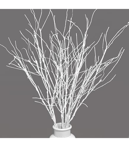 15 Tiges De Saule Bouclé Naturel Blanches + 3 Petites Gourdes - Décoration Naturelle Pour Vase (environ 58cm)