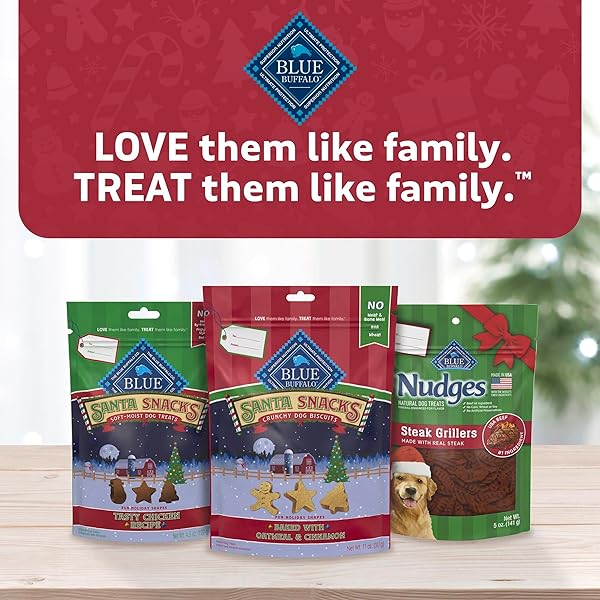 BLUE BUFFALO NUDGES STEAK GRILLERS, NATURAL HOLIDAY DOG TREATS, MADE IN THE USA WITH REAL BEEF, 5-OZ. BAG