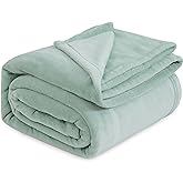 Bedsure GentleSoft Fleece Bed Blankets Full Size Sage Green - Soft Lightweight Plush Fuzzy Cozy Luxury Blanket Microfiber, 84x90 inches