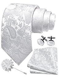 GUSLESON White Tie for Men Wedding Retro Paisley