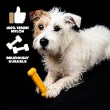TastyBone Roast Chicken & Thyme Nylon Dog Chew Toy - Indestructible view 2