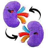 Attatoy Plush Kidney, Stuffed Body Organ Toy for