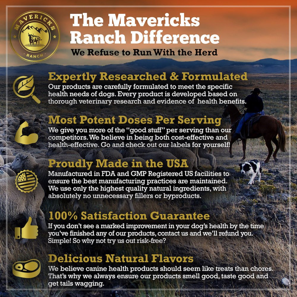 Mavericks Ranch Hip and Joint Supplement For Dogs | Best Canine Glucosamine Chondroitin, MSM & Vitamins C & E | 30-120 Day Support | 100% Natural & Made In USA | FDA | Chews Treats
