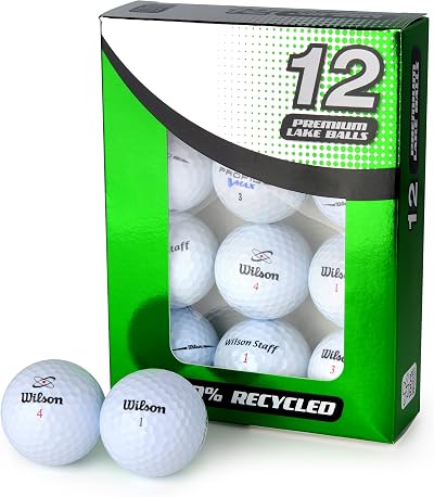 Second Chance Recycled Lake Golf Balls 48 Mesh Bag Grade A Wilson Lakeballs