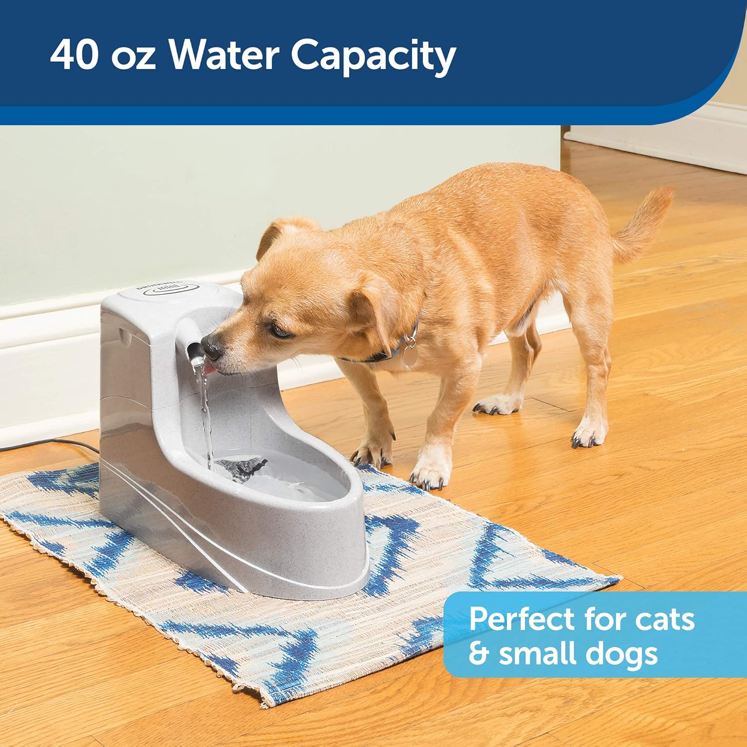 Pet Supplies : PetSafe Drinkwell Mini Pet Fountain for Cats and Small Dogs, 40 oz Capacity Water Dispenser with Filter Included, PWW00-14402 : Pet Self Waterers : 