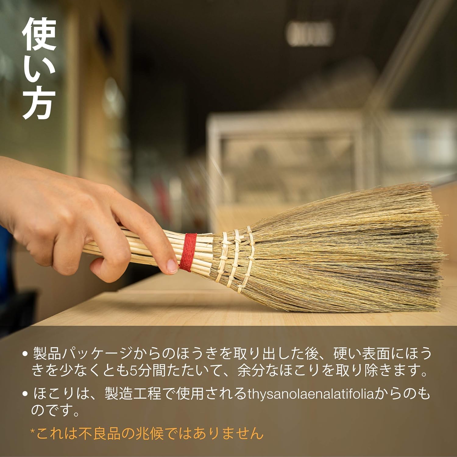 Amazon ちりとりを屋内で掃除するためのベトナムのわらの柔らかいほうき 屋外 ソファ 車のフード 装飾品 わらほうき 泡立て器ほうき 幅cm 長さ30cm ほうき ちりとり オンライン通販