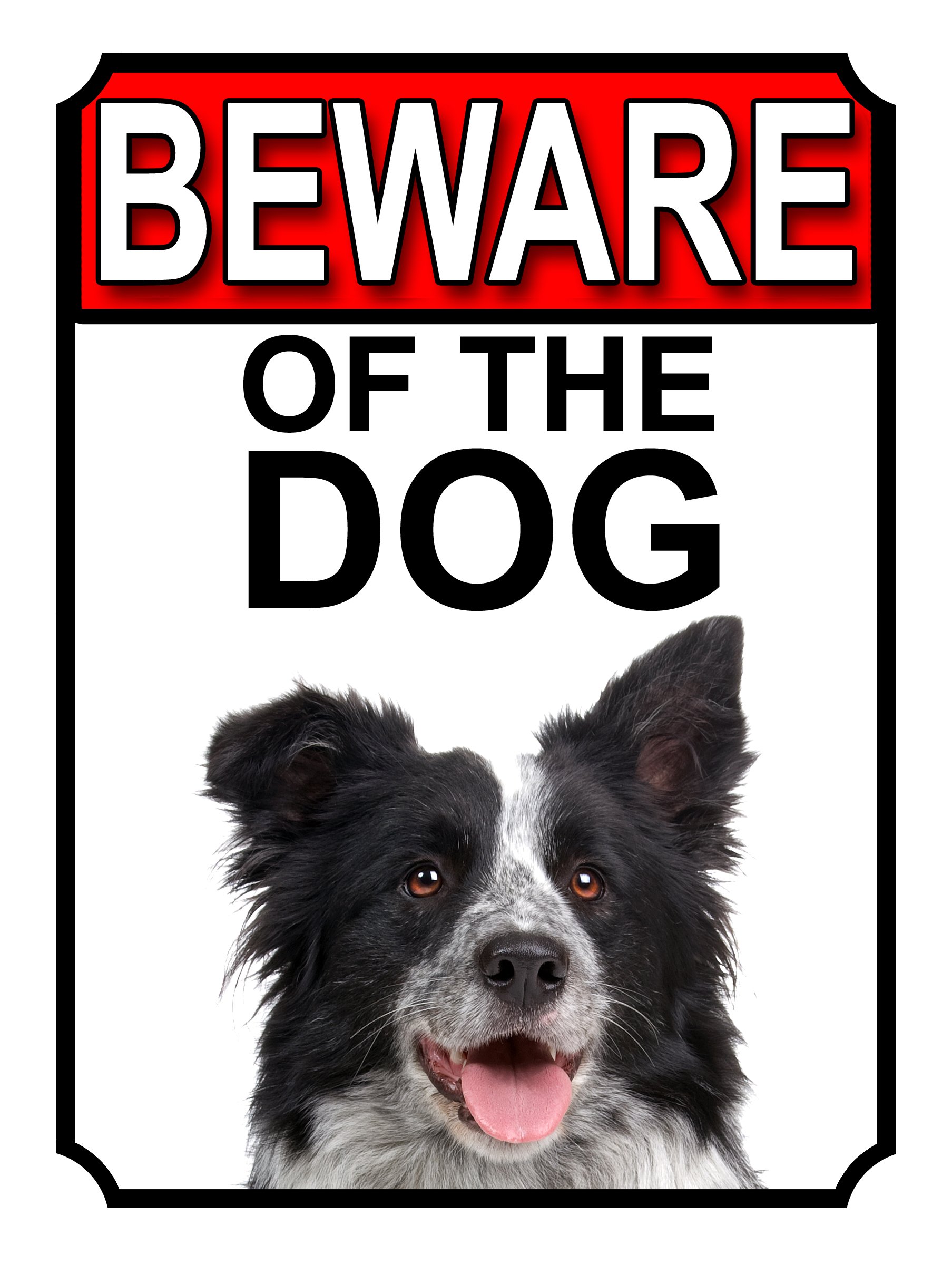 BEWARE OF THE DOG METAL GATE SIGN BORDER COLLIE 200MM X 150MM (1113H1)
