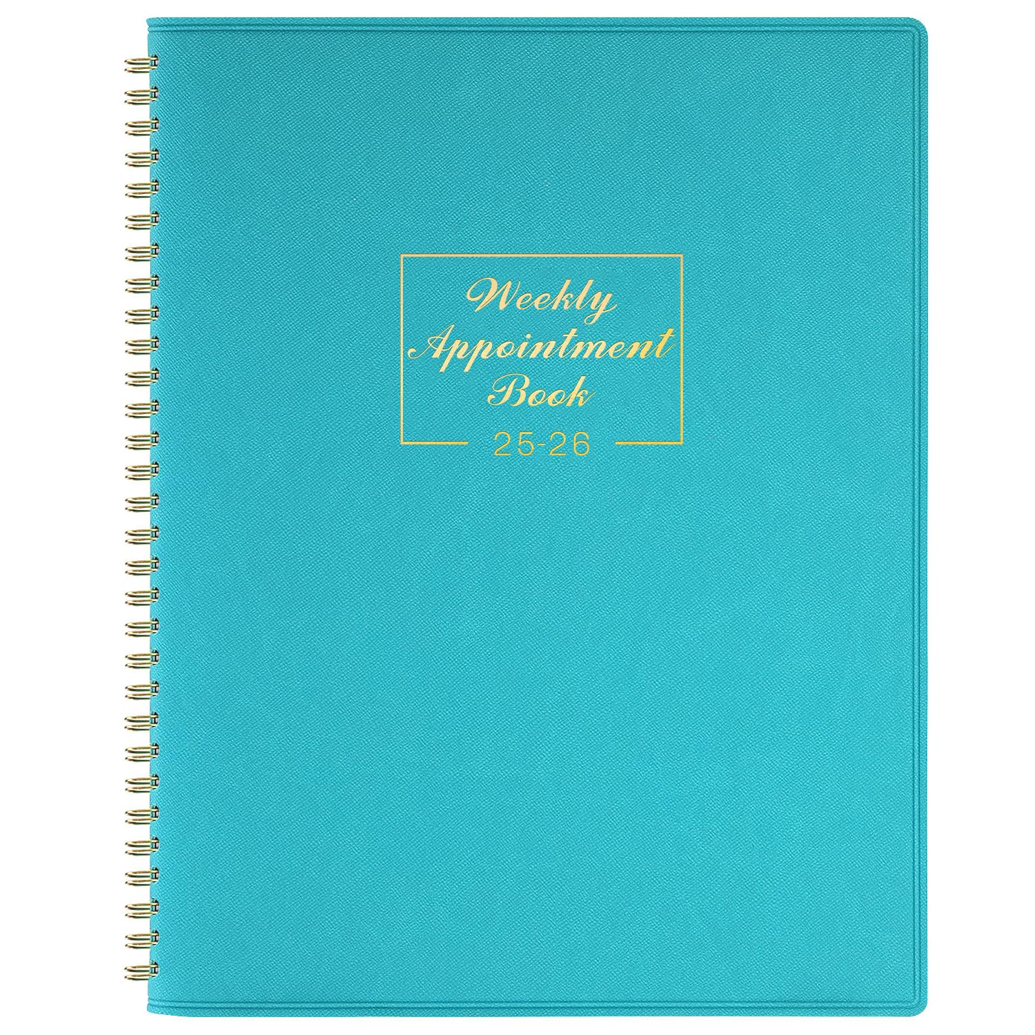 Indeme Appointment Diary 2024-2025 - Academic from Jul. 2024 to Jun. 2025, A4 Week View Book in 15 Minutes with Times, 21.8 x 29 cm, Soft Leather Cover Lake Green, BLUE