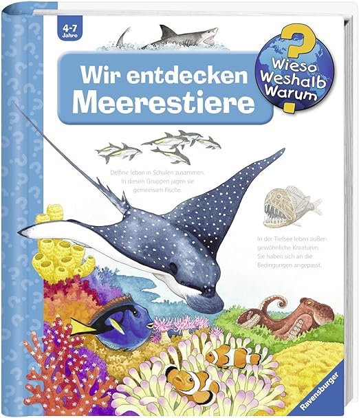 Wieso Weshalb Warum Ravensburger Kinder Tier Buch Wir Entdecken Die Meerestiere Amazon De Spielzeug