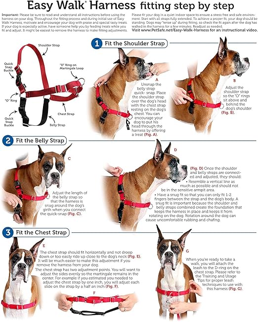 the easy walk harness