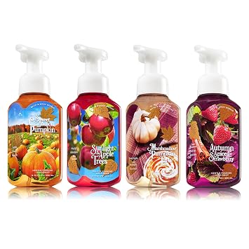 4pc Set Bath Body Works Gentle Foaming Hand Soap Fall Collection Sweet Cinnamon