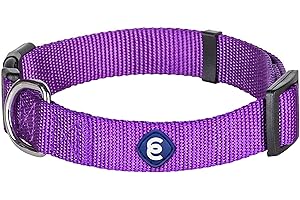 Blueberry Pet Essentials 21 Colors Classic Dog Collar, Dark Orchid, Medium, Neck 14.5"-20", Nylon Collars for Dogs