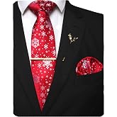 JEMYGINS Festival Christmas Tie and Pocket Square with Tie Clip and lapel pin Set