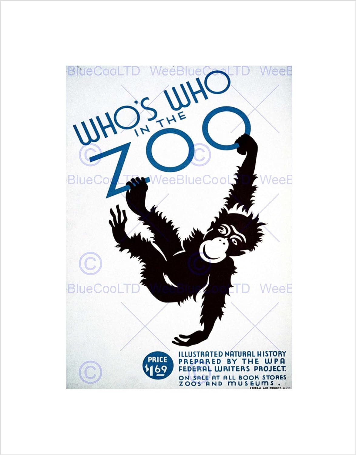 coloured print out shop near me