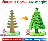 Playwrite Magic Growing Christmas Tree Crystal Kit for Kids 24 Hours view 2